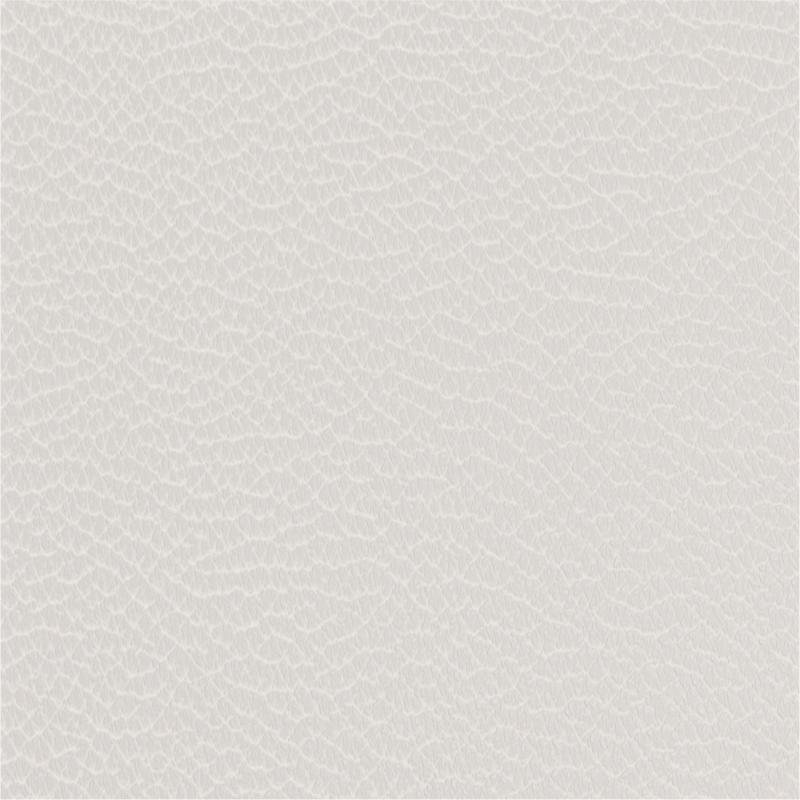 Leather - Powder