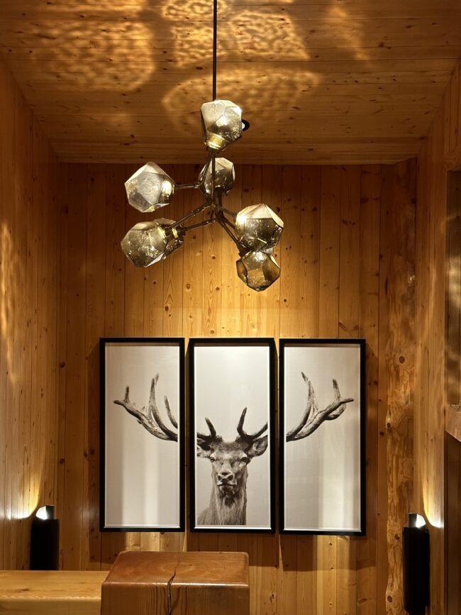 Gem Modern Branch Chandelier | Norman Design Group